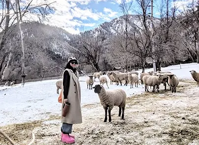 avalanche ranch cabins antiques gallery 5