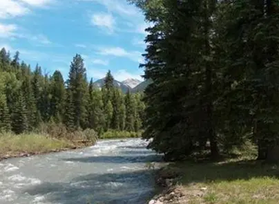 Bogan Flats Campground gallery 4