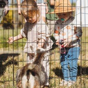 Children meeting a goat at the AVLT Party in the Pasture